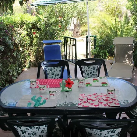 Tatil Evi Flamingos In The Desert *