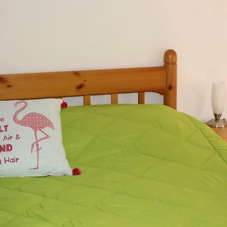 Tatil Evi Flamingos In The Desert *