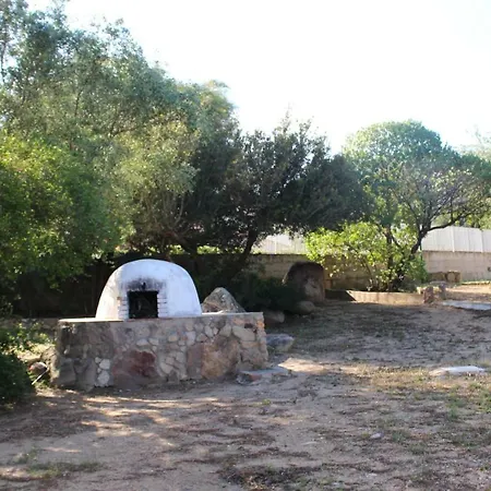 Tatil Evi Flamingos In The Desert