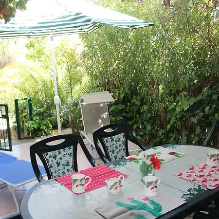 Flamingos In The Desert Tatil Evi