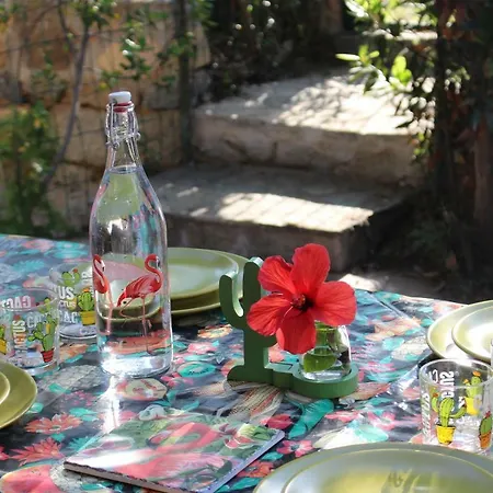 Tatil Evi Flamingos In The Desert *