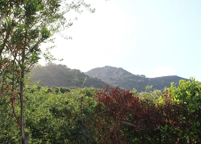 Flamingos In The Desert Вилласимиус
