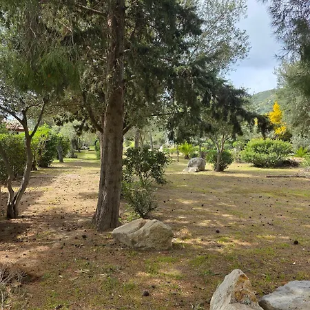Dom wakacyjny Flamingos In The Desert Villasimius