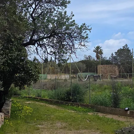 Dom wakacyjny Flamingos In The Desert Villasimius
