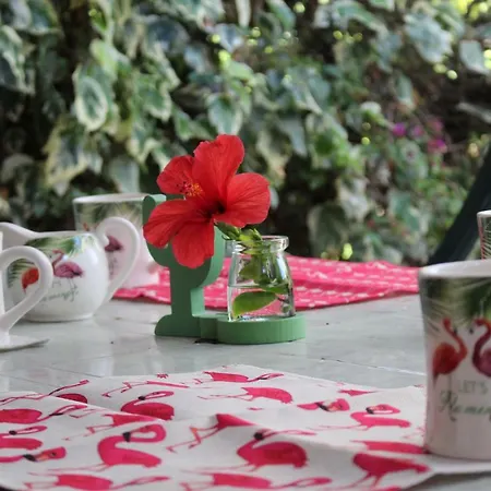 Flamingos In The Desert بيت للعطل