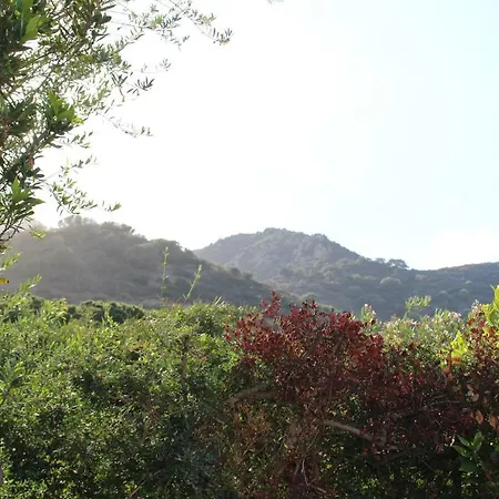 Flamingos In The Desert فيلاّسيمِيوس