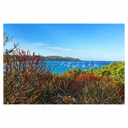Flamingos In The Desert بيت للعطل *