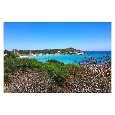 بيت للعطل Flamingos In The Desert فيلاّسيمِيوس