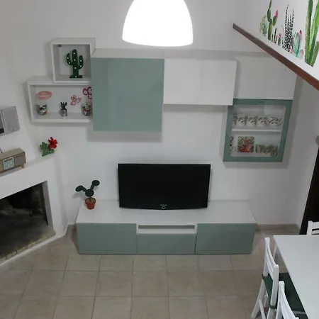 Flamingos In The Desert فيلاّسيمِيوس