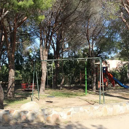 Flamingos In The Desert * فيلاّسيمِيوس