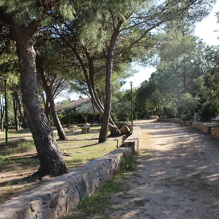 Flamingos In The Desert فيلاّسيمِيوس