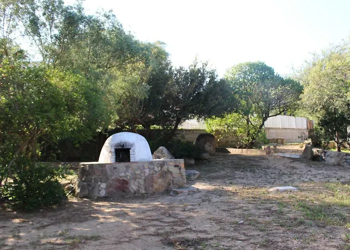 度假居 Flamingos In The Desert